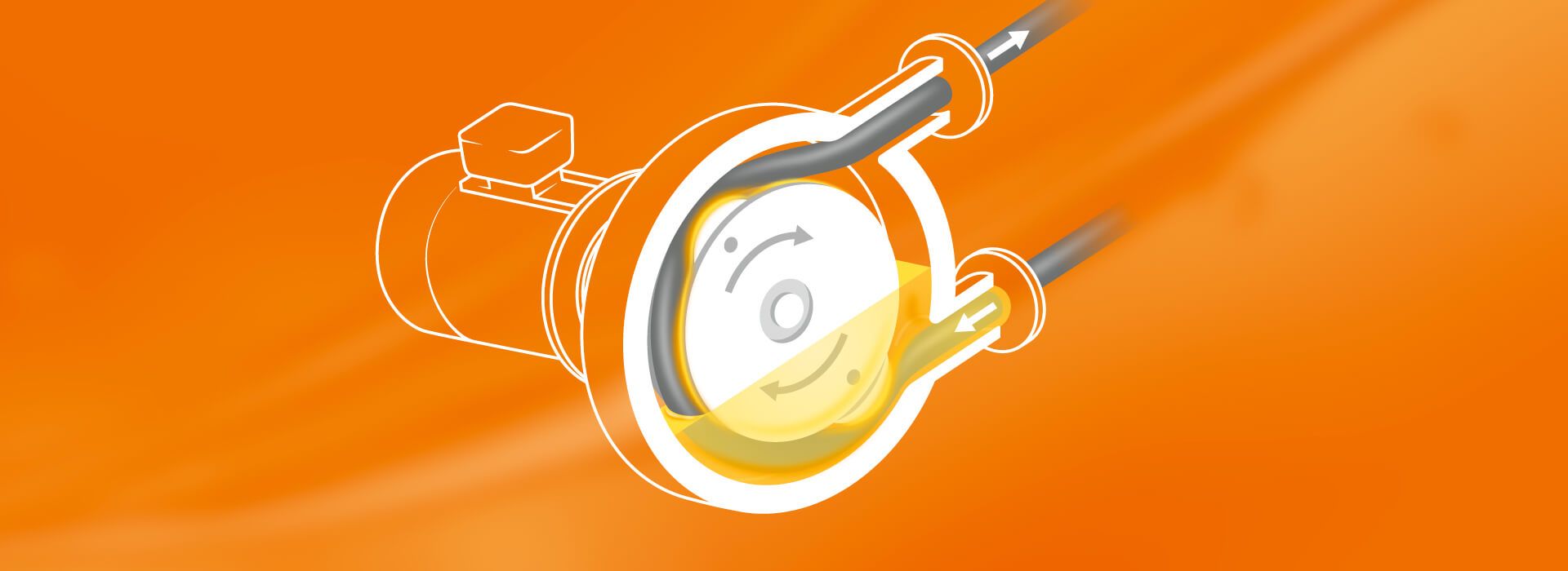 Zeichnung: Blick ins Innere einer Schlauchpumpe. Das Gehäuse ist unten mit Öl gefüllt. Durch das Drehen der Walze wird der Schlauchinhalt befördert. Das Öl wird über die Walzenbewegung verteilt und schützt den Schlauch.