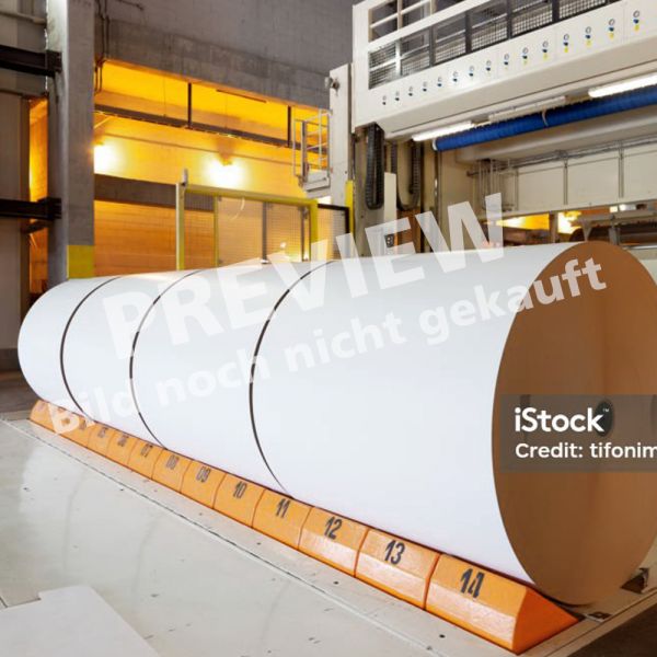 Mehrer Rollen Papier liegen in der Auslage einer mit ELKALUB geschmierten Papierherstellungsmaschine.